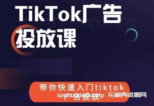 《跨境B哥TIKTOK广告投放课》带你快速入门TIKTOK广告投放