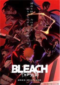 动画/动漫《死神千年血战篇/BLEACH 千年血戦篇》