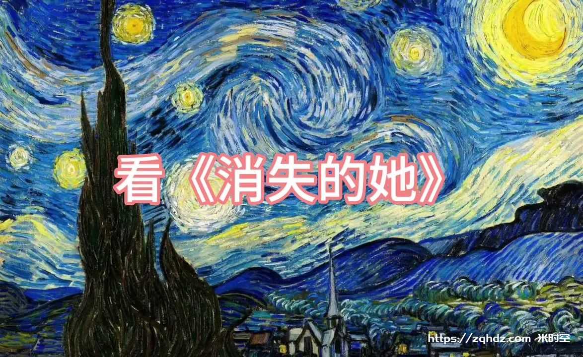 国产剧《消失的她/Lost in the stars》