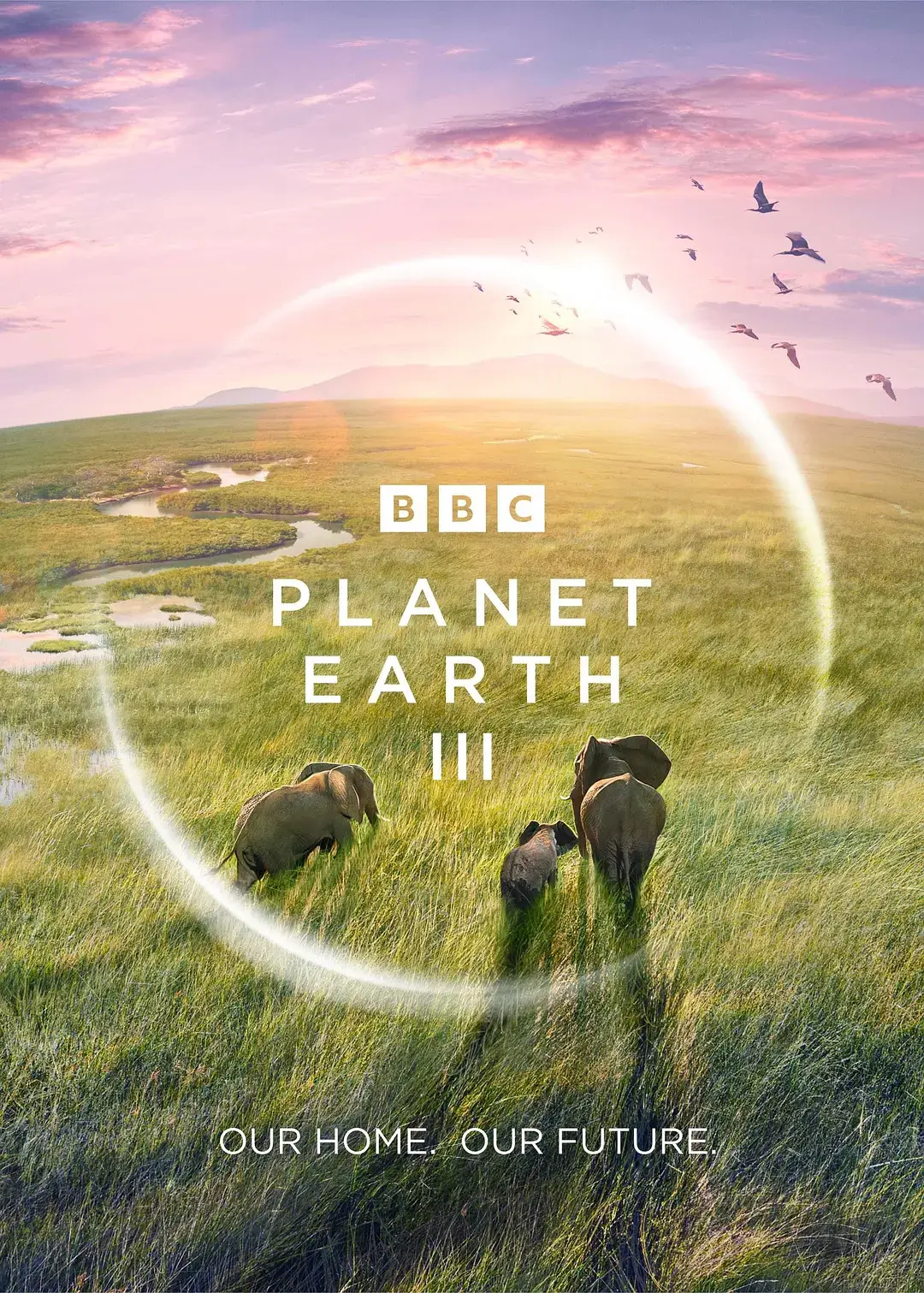 纪录片《地球脉动/Planet Earth》全1-3季4K/1080P超高清电影视频合集英语中字[MP4/158.59GB]百度云网盘下载，前两季中英双音轨，中文字幕，需要在播放器中切换对应音轨和字幕。已做压缩处理，百度网盘下载后解压使用，文件大小158.59GB。